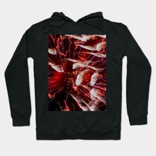 Feathered Souls Hoodie